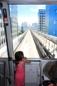 Luna Overlooking The Tracks When We Rode The Monorail In Tokyo
