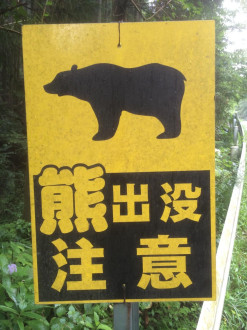 Bears...