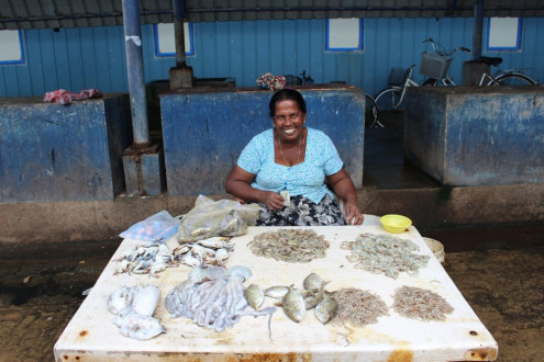 Ladies Were Selling Fish Everywhere At The Negombo Fish Market