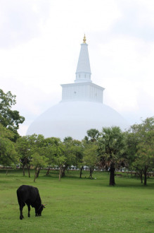 Another Stupa