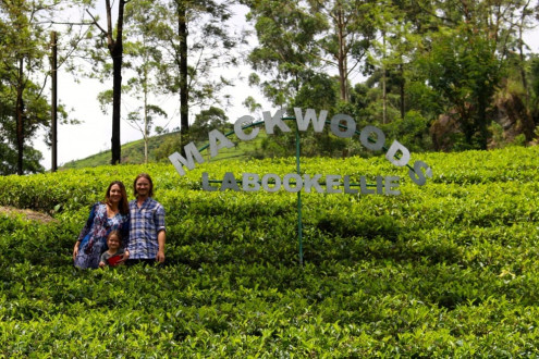 us at Mackwoods tea plantation