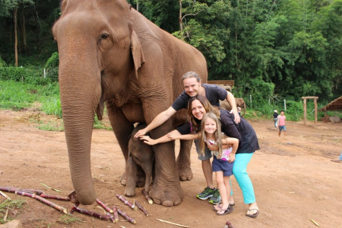Patara elephant camp- visiting the babies and Mamas first!