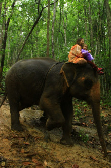 riding bareback on an elephant is unreal