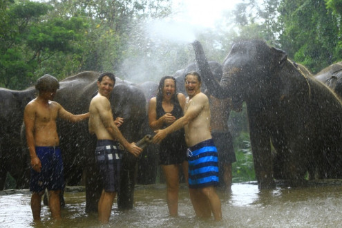 at the end they drenched us with their trunks!