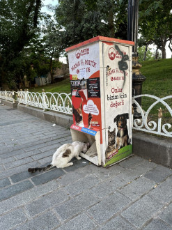 pet vending machine