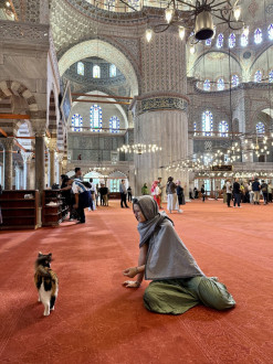 Luna and a kitty in the Blue Mosque
